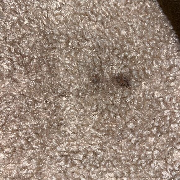 ZARA Trafaluc Outerwear Parka Sherpa Lined w/ Fake Fur Trim Hood M Russian Spy - Picture 10 of 10